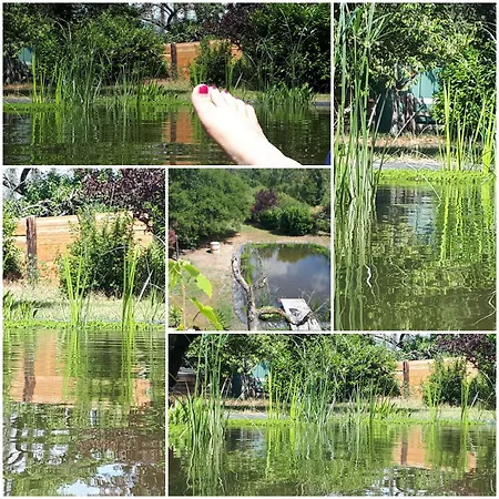 Am Schwimmteich 3 アパート *