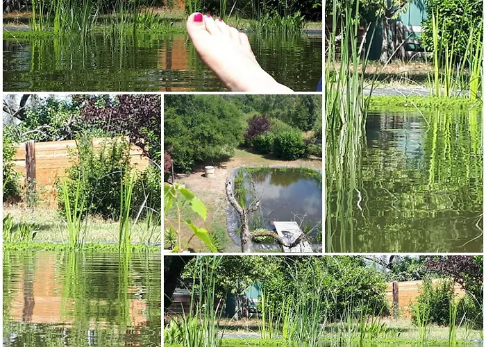 Am Schwimmteich 3 Apartament *